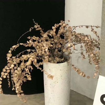 重庆FurryQQ群介绍